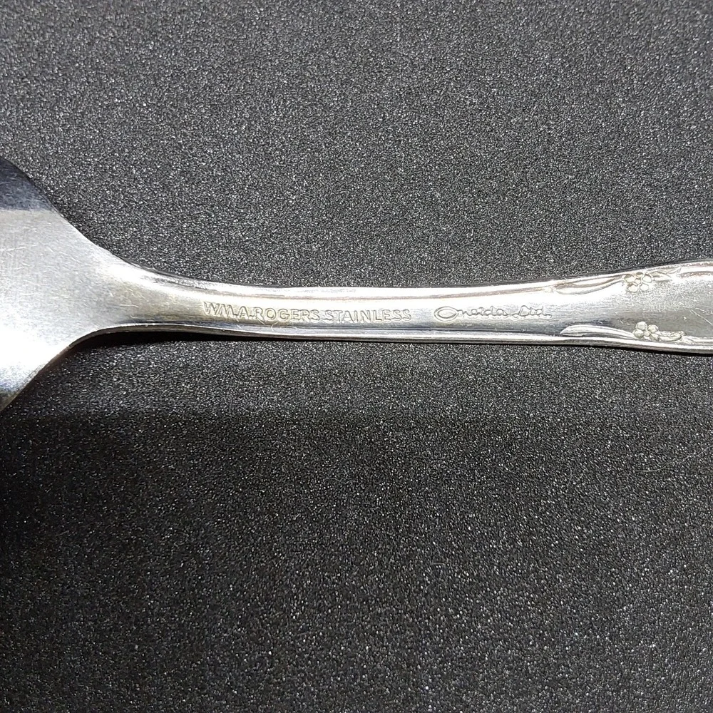 Wm A Rogers Oneida‎ Fenway Daydream Stainless Flatware Sugar Spoon